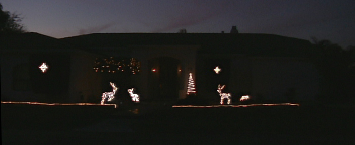 Christmas deer in the front yard